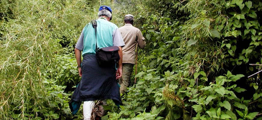 gorilla-tracking-safari