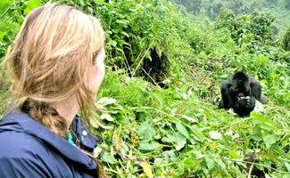 gorilla-trekking